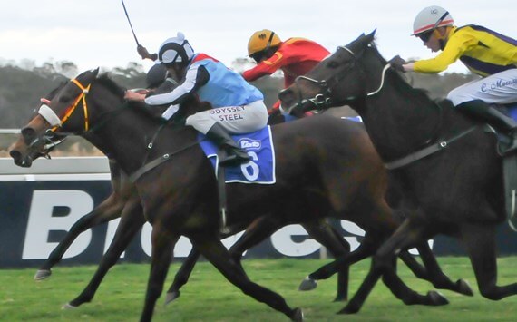 Bella Spumante Milkwood Stakes