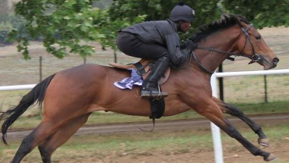 Bella Spumante at the RTR gallops