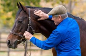 Monty Roberts and Silvano (photo: Jeremy Nelson)