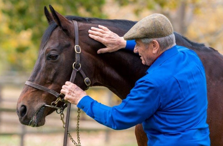 Monty Roberts and Silvano (photo: Jeremy Nelson)