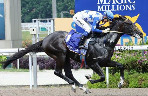 JUPITER GOLD (Pic by Singapore Turf Club)