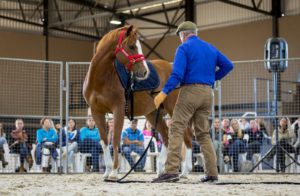 Monty Roberts (photo: hamishNIVENPhotography)