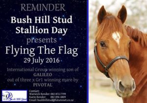 Bush Hill Stud stallion day