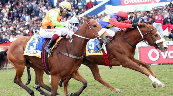 Final Judgement pleased her trainer in work