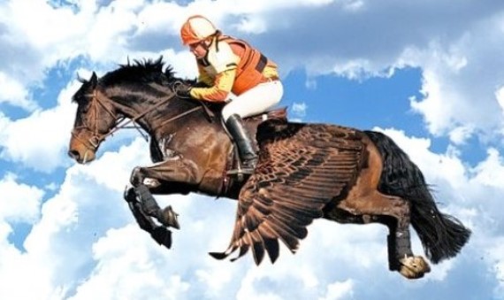 Jockey-Flying-on-Pegasus--107256