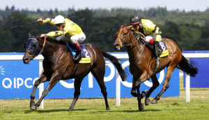 ASCOT, ENGLAND - AUGUST 06: Gavin Lerena riding Arch Villain leads Sea of Heaven riden by Kenichi Ikezoe, both representing team Europe, home to win The Dubai Duty Free Shergar Cup Stayers Race run at Ascot Racecourse on August 6, 2016 in Ascot, England. (Photo by Julian Herbert/Getty Images)