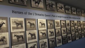 Kenilworth's Queen's Plate wall (photo: Form Organisation)