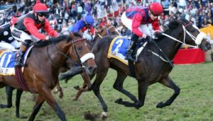 Gunner wins the Premiers Champion Stakes