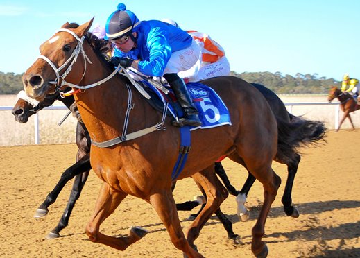 Alpine Ridge Walmer Handicap