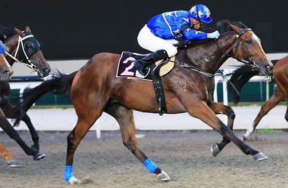 LIM'S CASINO (Pic by Singapore Turf Club)