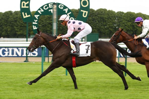 Toulifaut Frankel fourth stakes winner
