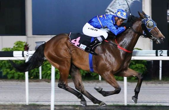 LIM'S SINCERE (Pic by Singapore Turf Club)