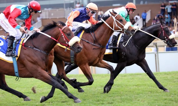 roys-magic-wins-kzn-3yo-series