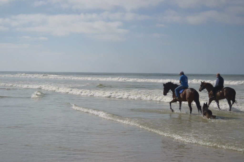 Run For It, Snaith Racing, Muizenburg Beach