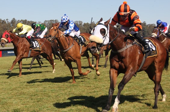 JP van der Merwe drives Seattle Lady up for an easy win (Pic-JC Photos)