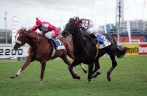 Jagged Ice on the race track (photo: Gold Circle)