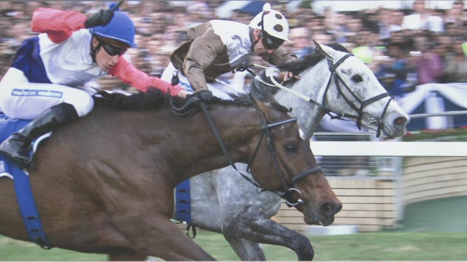 2008 Gr1 Vodacom July dead heat