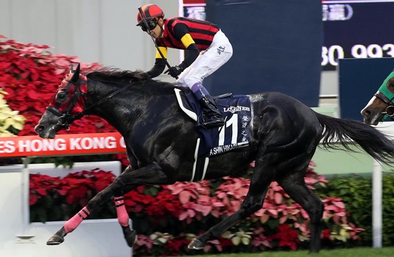 cup-jpn-a-shin-hikari-20151213