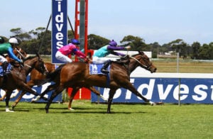 Ngaga wins on debut (photo: Equine Edge)