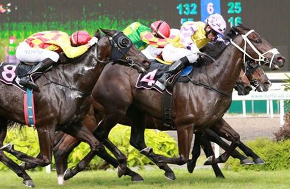 VIVIANO (Pic by Singapore Turf Club)