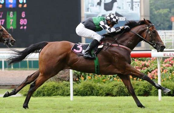 BEST TOTHELIGN (Pic by Singapore Turf Club)