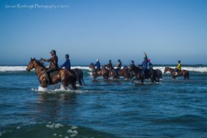 Racehorse string on Melkbos beach (photo: Ian van Romburgh)