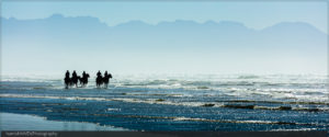 This is the life! Snaith string on the beach (photo: hamishNIVENPhotography)