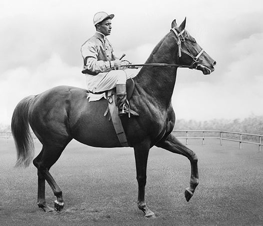 1959 Gr1 Queen's Plate winner, Royal Affair (photo: Form Organisation)