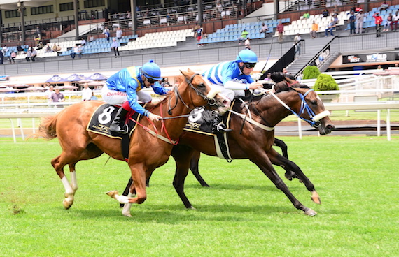 Puget Sound wins on debut (photo: JC Photographics)