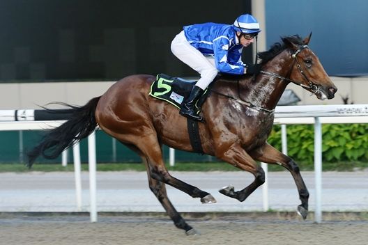 Longhu wins in Singapore on 27 May 2016