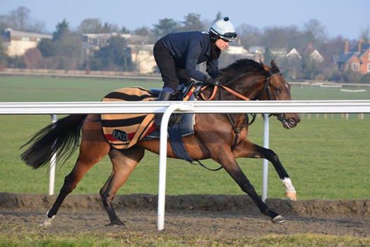 Skye Gilbert in action on the Newmarket gallops