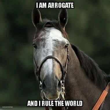 Arrogate