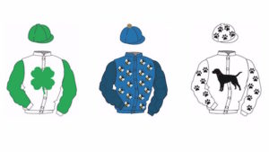 BHA Approved silks