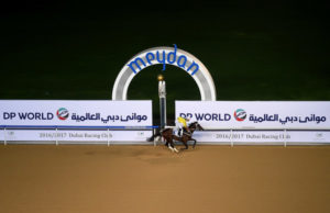 Fawree when it all goes well (Photo: Dubai Racing / Andrew Watkins)