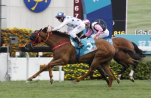 Contentment win the 2017 Gr1 Champions Mile (photo: HKJC)