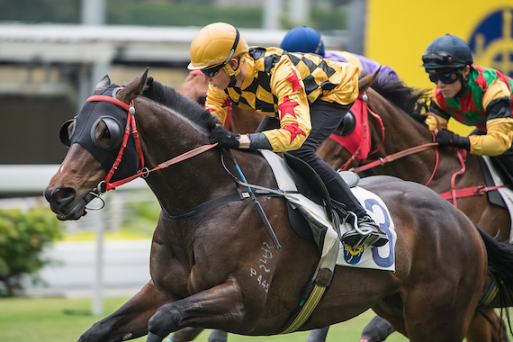 Callan Murray at Happy Valley barrier trials (photo: Donald Lee)