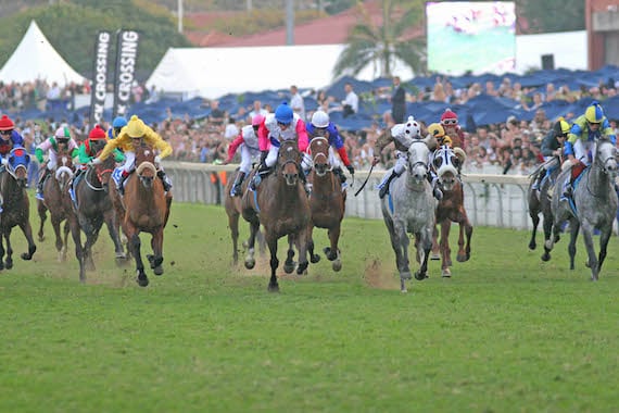 2008 Gr1 Vodacom Durban July (photo: Gold Circle)