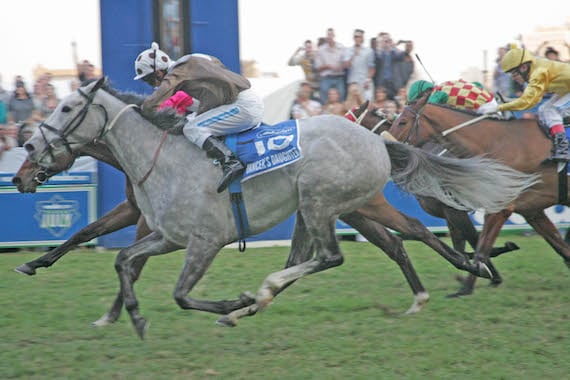 2008 Gr1 Vodacom Durban July (photo: Gold Circle)