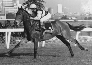 1975 Gr1 Rothmans Durban July Handicap