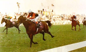 Castle Walk - 1988 Gr1 Game Gold Cup