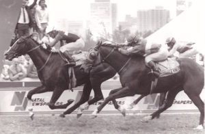 Illustrador - 1990 Gr1 Natal Newspapers Gold Cup