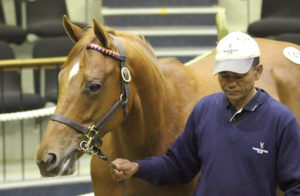 Lot 141 Miss Sabina