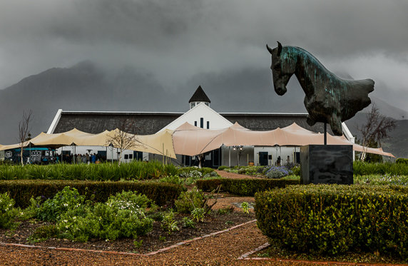 Drakenstein Stud Farm stallion day (photo: hamishNIVENPhotography)