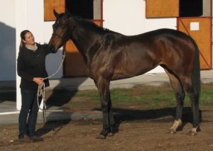 With Lielums as a 2yo (photo: supplied)