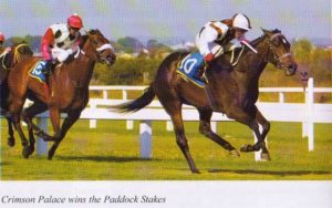 Crimson Palace wins the 2003 Gr1 Paddock Stakes (photo: Gold Circle)