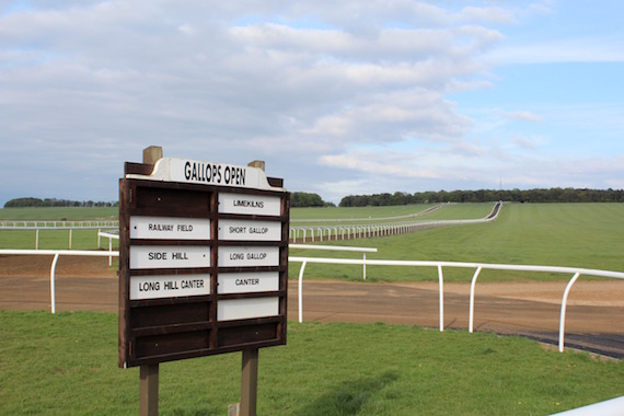 Newmarket Gallop openings (photo: Wikimedia)