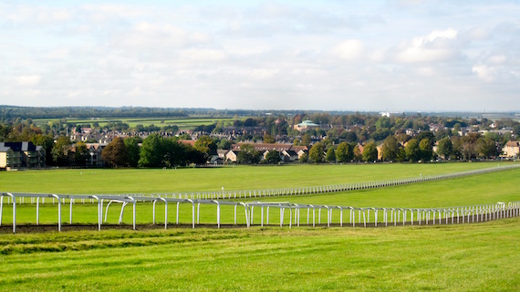 Newmarket Gallops (photo: Wikimedia)