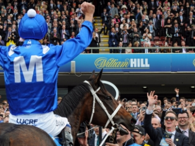 Winx (photo: Winxhorse.com.au)