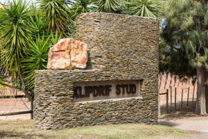 Klipdrif Stud entrance (photo: hamishNIVENPhotography)