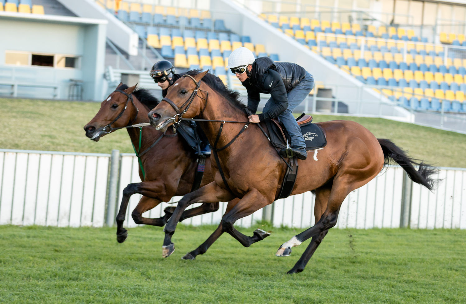 Gold Standard gallops with Quickfire (photo: hamishNIVENPhotography)